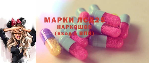 стафф Новодвинск