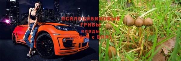 ECSTASY Няндома